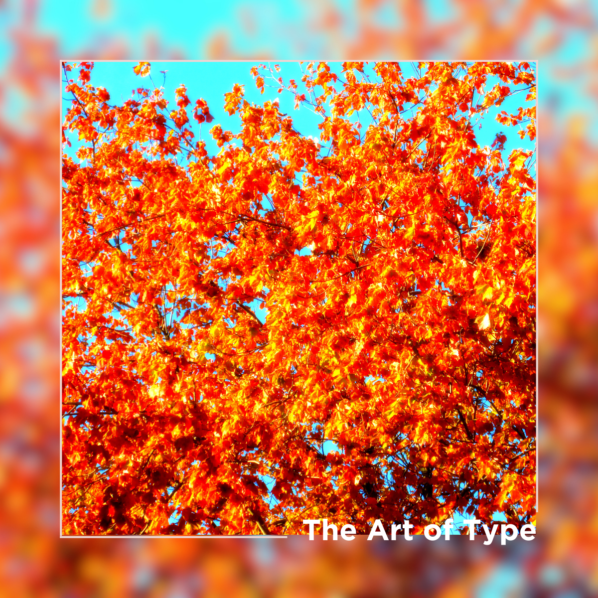 The Art of Type